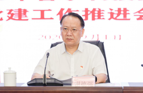 打造党建特色品牌   开创党建工作新局面——集团召开2020年党建工作推进会