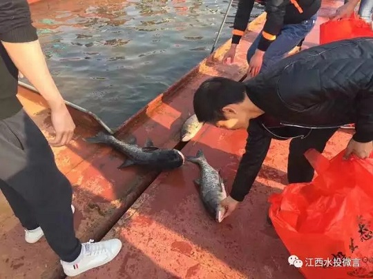 巾帼心向党 扬帆新征程 江西水投集团举办“三八”国际妇女节纪念活动